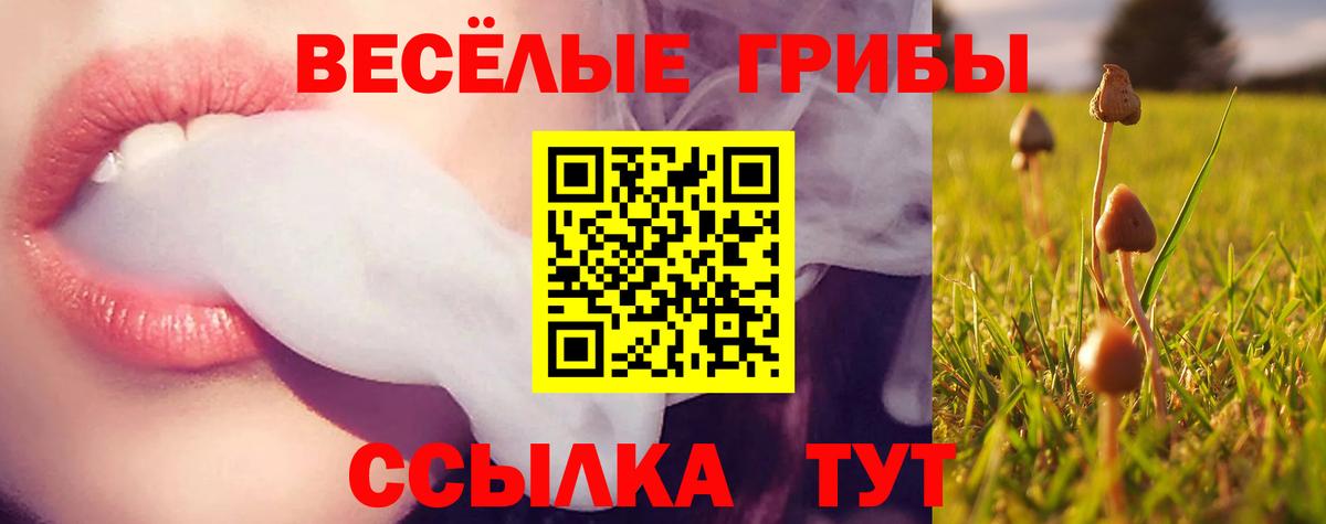 Псилоцибиновые грибы мухоморы Кинель